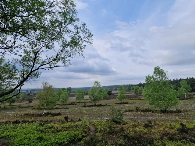 Start Etappe 3 Heidschnuckenweg