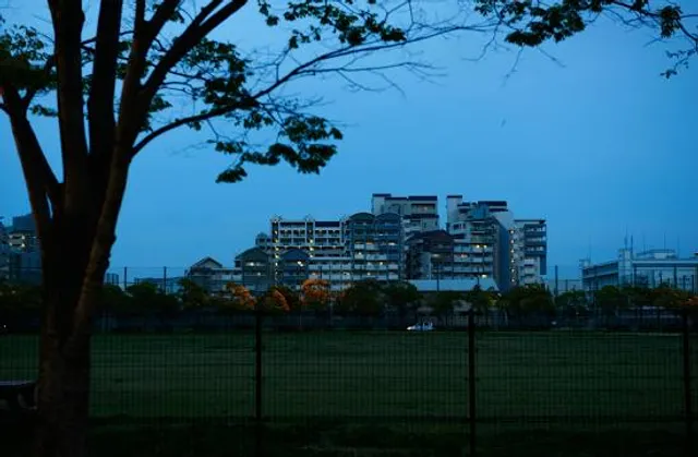 photo-1