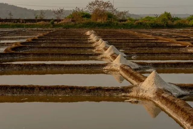 Ecomuseum Marais Salant