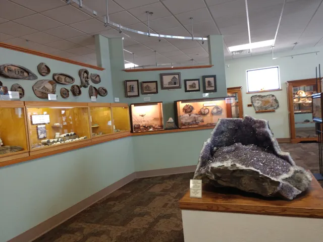 Petrified Wood Gallery