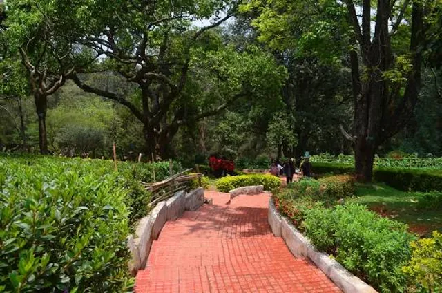 photo-1
