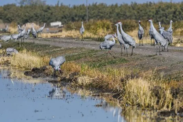 Modoc National Wildlife Refuge