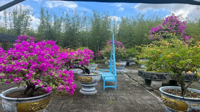 photo-1