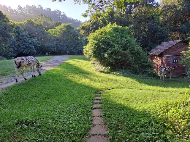 Queen Elizabeth Park