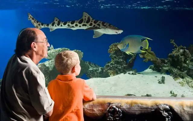 Austin Aquarium