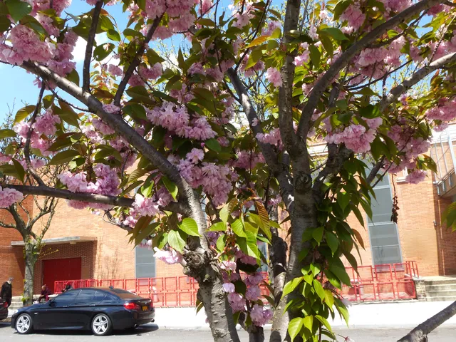 photo-3