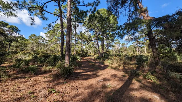 Seacrest Scrub Natural Area