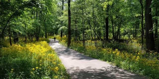 Meramec Greenway: Krumm Road Trailhead
