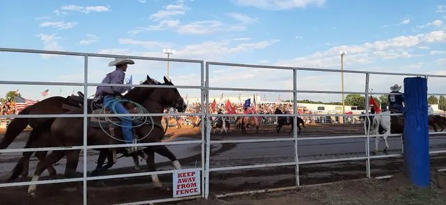 Mid-Western Rodeo