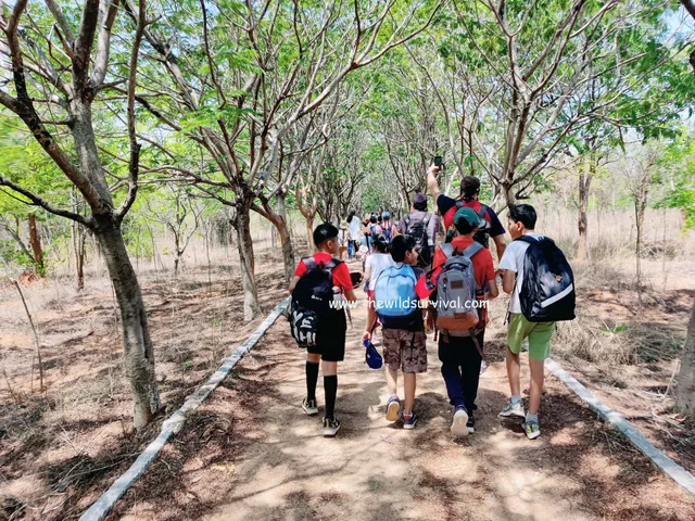 Wild Survival Academy