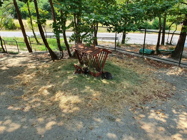 Animals Area Park Sandanski