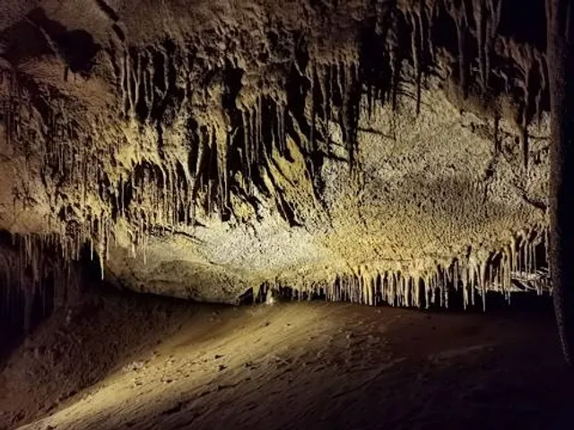 Grotte de la Cocalière