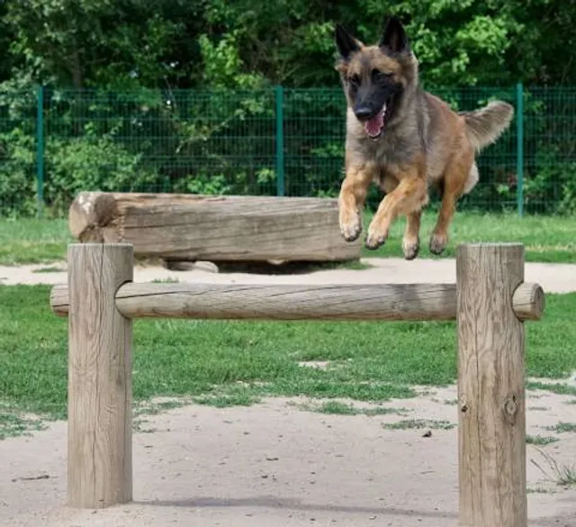 Lacroix-Laval domain