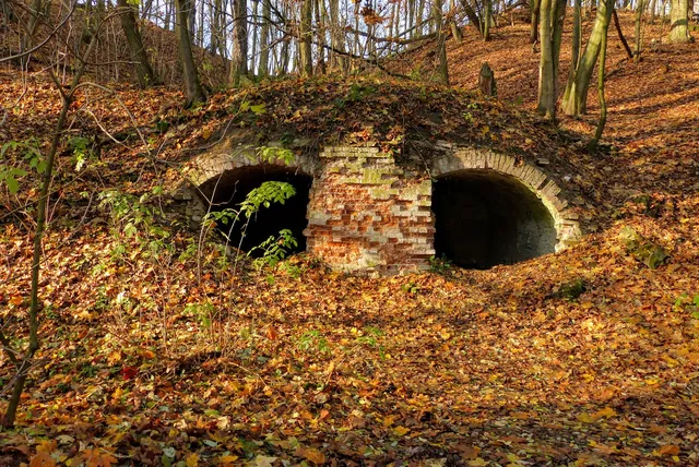 Wąwóz Szaniawskiego - Rezerwat Przyrody