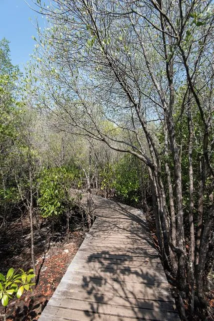 Dolph Nature Area