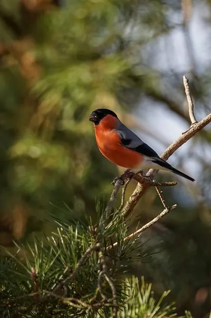 Moorstation Nicklheim