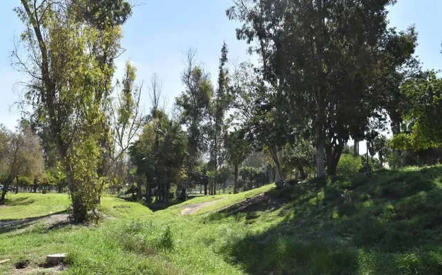 Parque Los Sauces