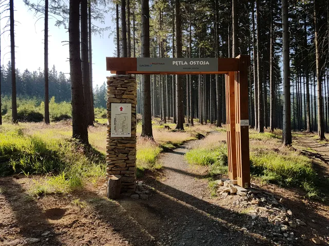 Singletrack Glacensis "Pętla pod Śnieżnikiem"