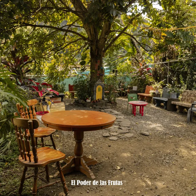 El Poder De Las Frutas