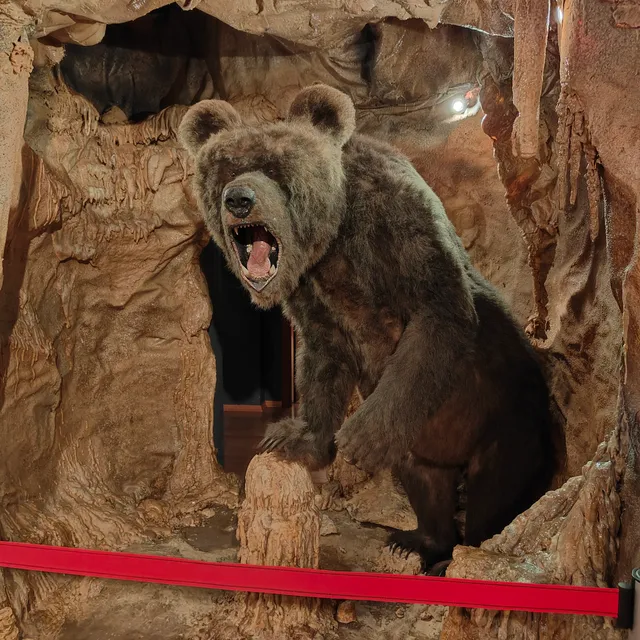 Parco della Villa Pitotti ''Antiquarium della Motta e Mostra del Fossile, Povoletto''