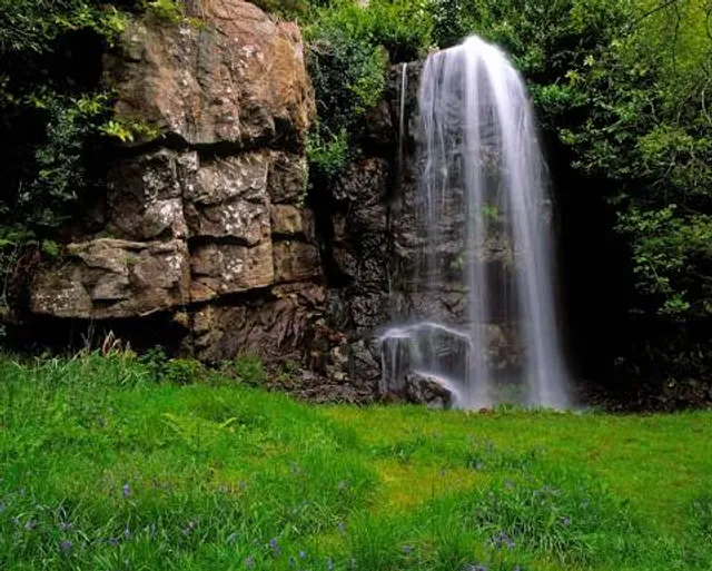 Kilfane Glen & Waterfall