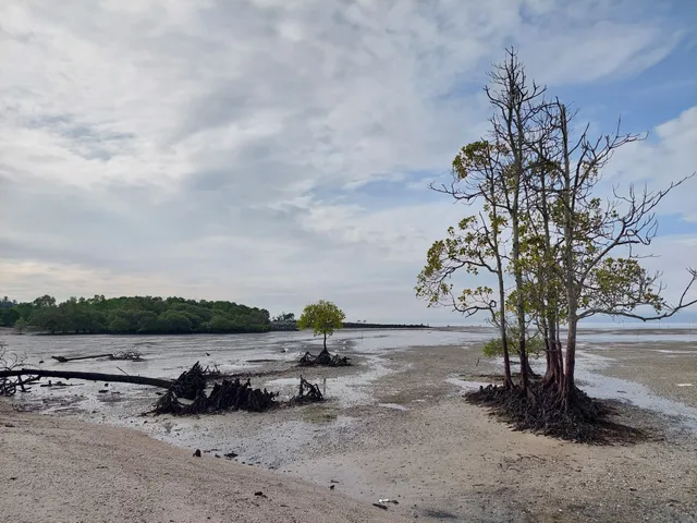 Pantai Siput Jalan Bumi Hijau