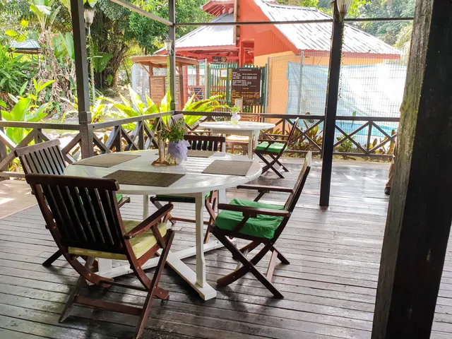 Rainforest Restaurant