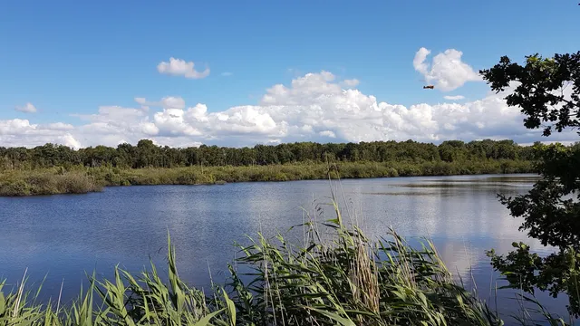 Tävsmoor / Haselauer Moor