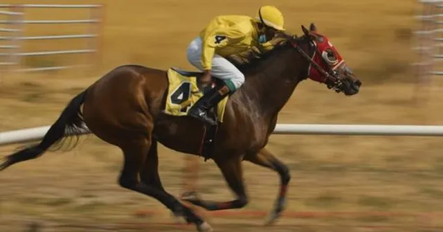 Rocky Mountain Turf Club