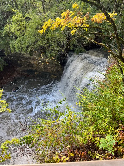 Quarry Trails Metro Park, Lake Area