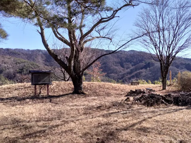 photo-3