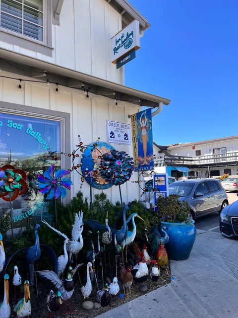 Under the Sea Gallery