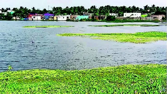 Vilinjiyambakkam Lake