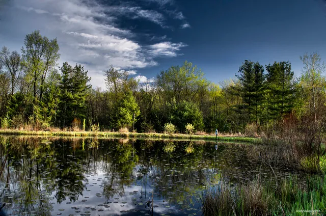 Gorman Nature Center