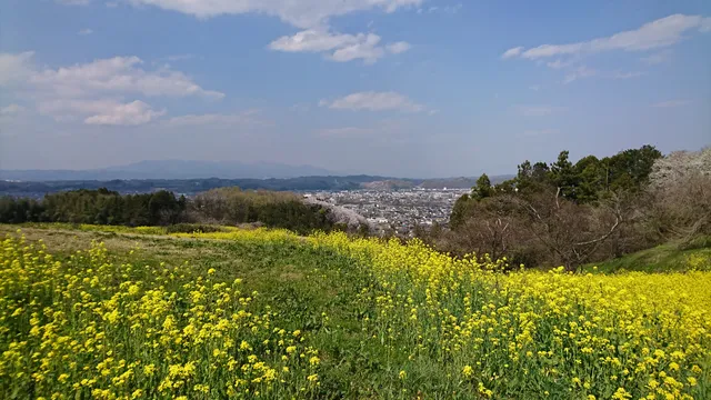 Nakadakase-Kannonyama Archaeological Site