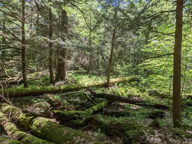 Hearts Content Recreation Site