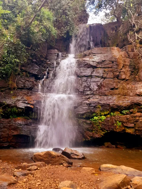 Uluguru Nature Forest Reserve