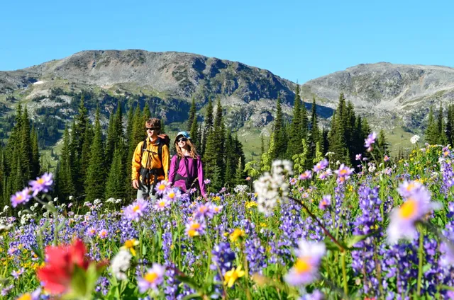 Wells Gray Adventures