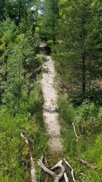 Ausable River Cut Conservation Area