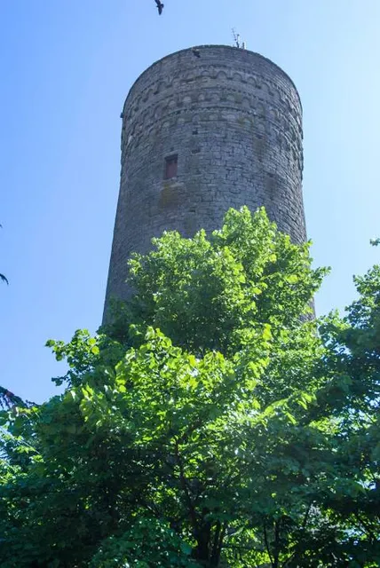 Burgruine Merenberg