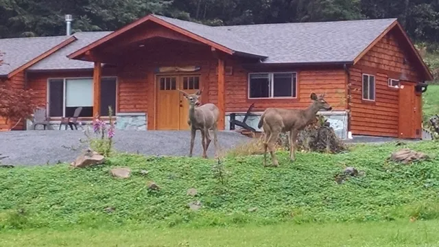 The Jimmy Beech House