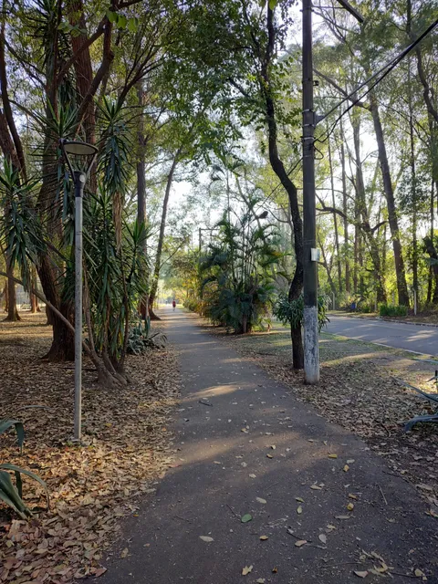 Praça Bosque da Amizade