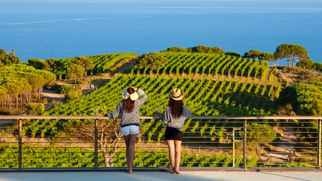 Farm - Tenuta Ripalte