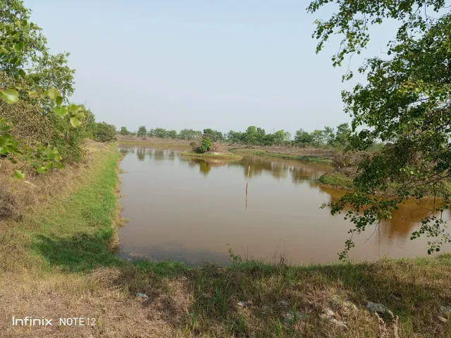 रानीगंज वृक्ष वाटिका