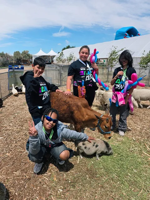 The WOW Flower Project