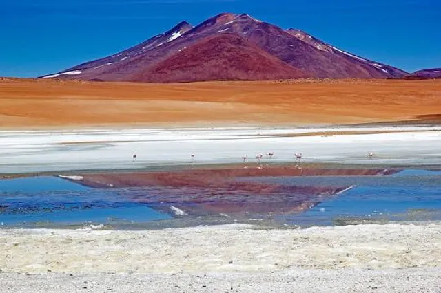 Laguna Carachi Pampa