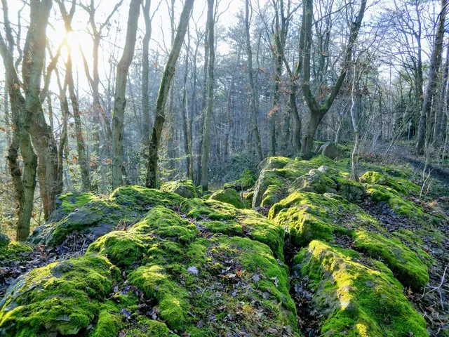 La promenade d'Ombret (n•6)