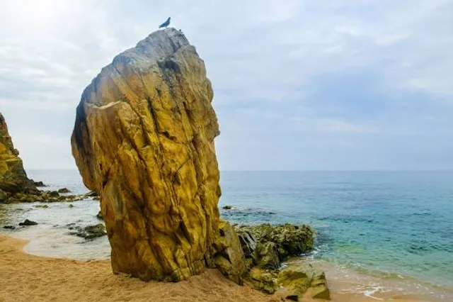 Bãi biển Đá Nhảy Thanh Trạch