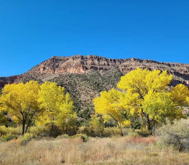 Jemez Fine Art Gallery