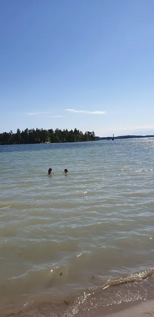 Brandalsunds naturreservat